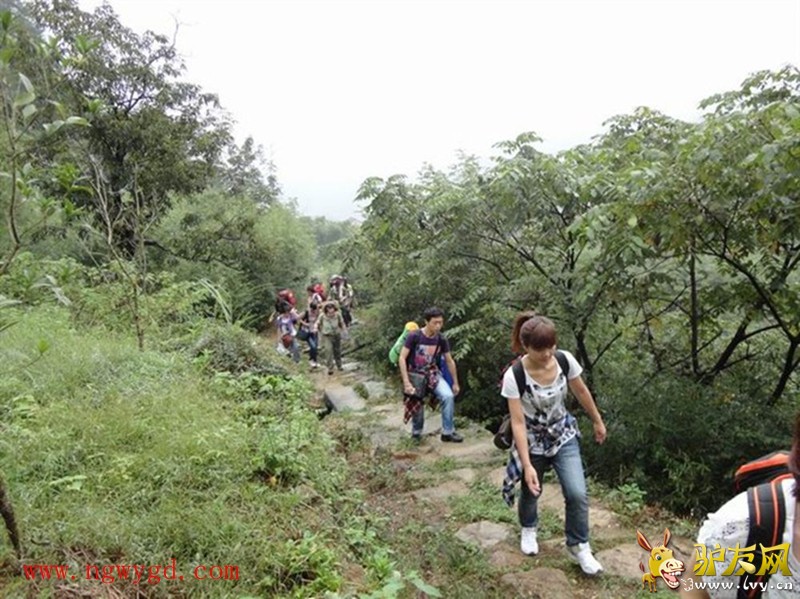 psb (16)_����.jpg