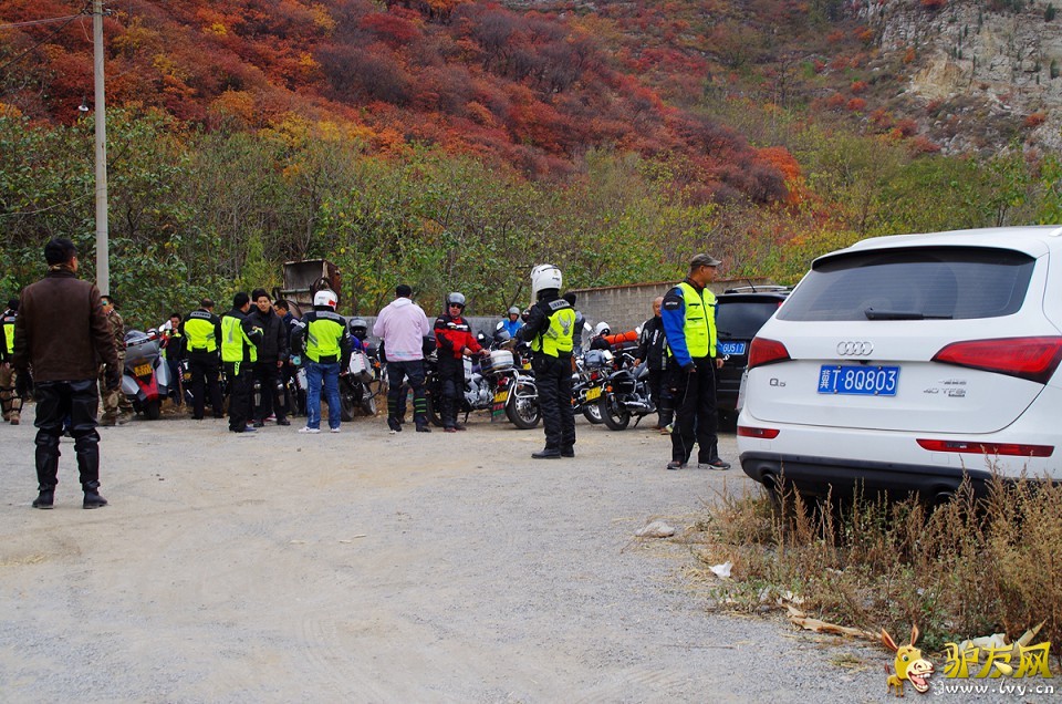 ��Ԯ������Q7������