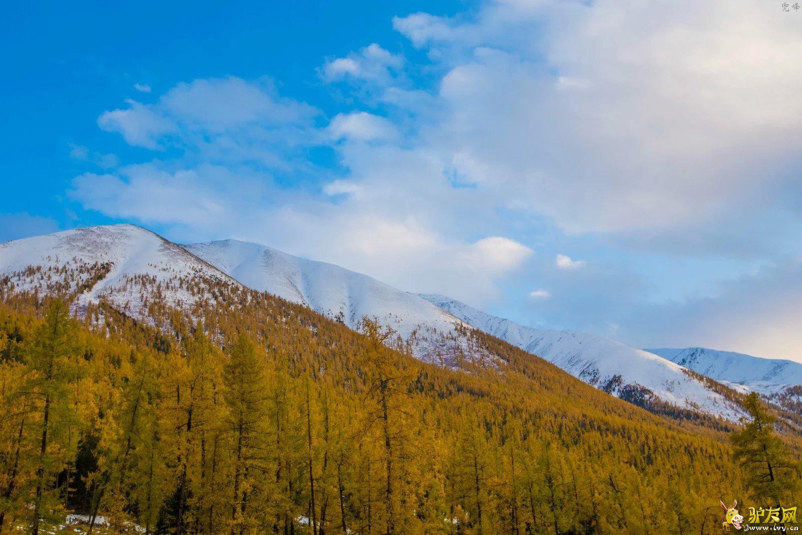 4�׹���ȥ����˹·�Ϸ�� (1).jpg