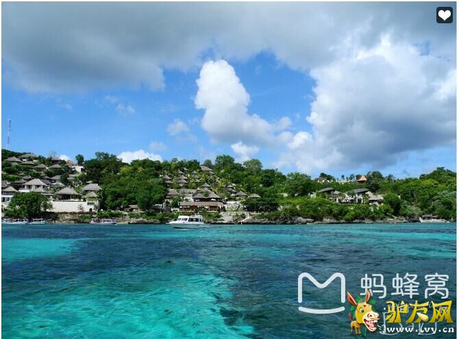 ���嵺����