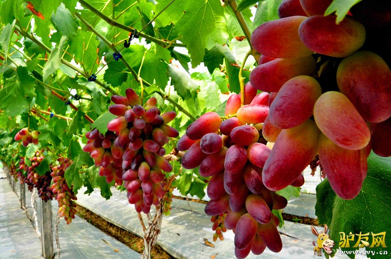 1757292zr7q33qvyryfvi3 - ����.jpg