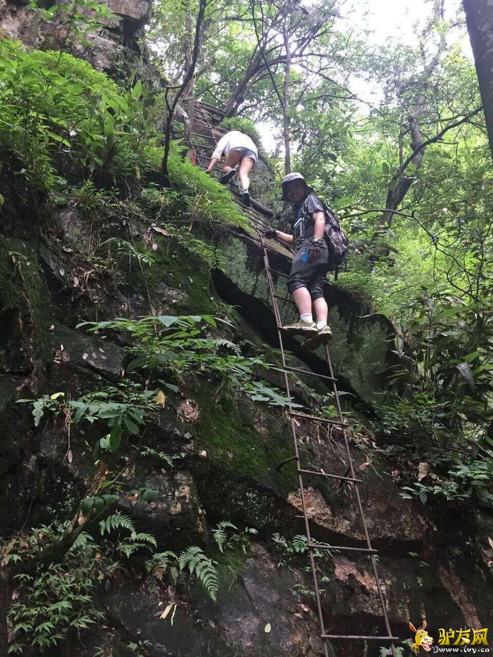 �ڶ������� (2).jpg